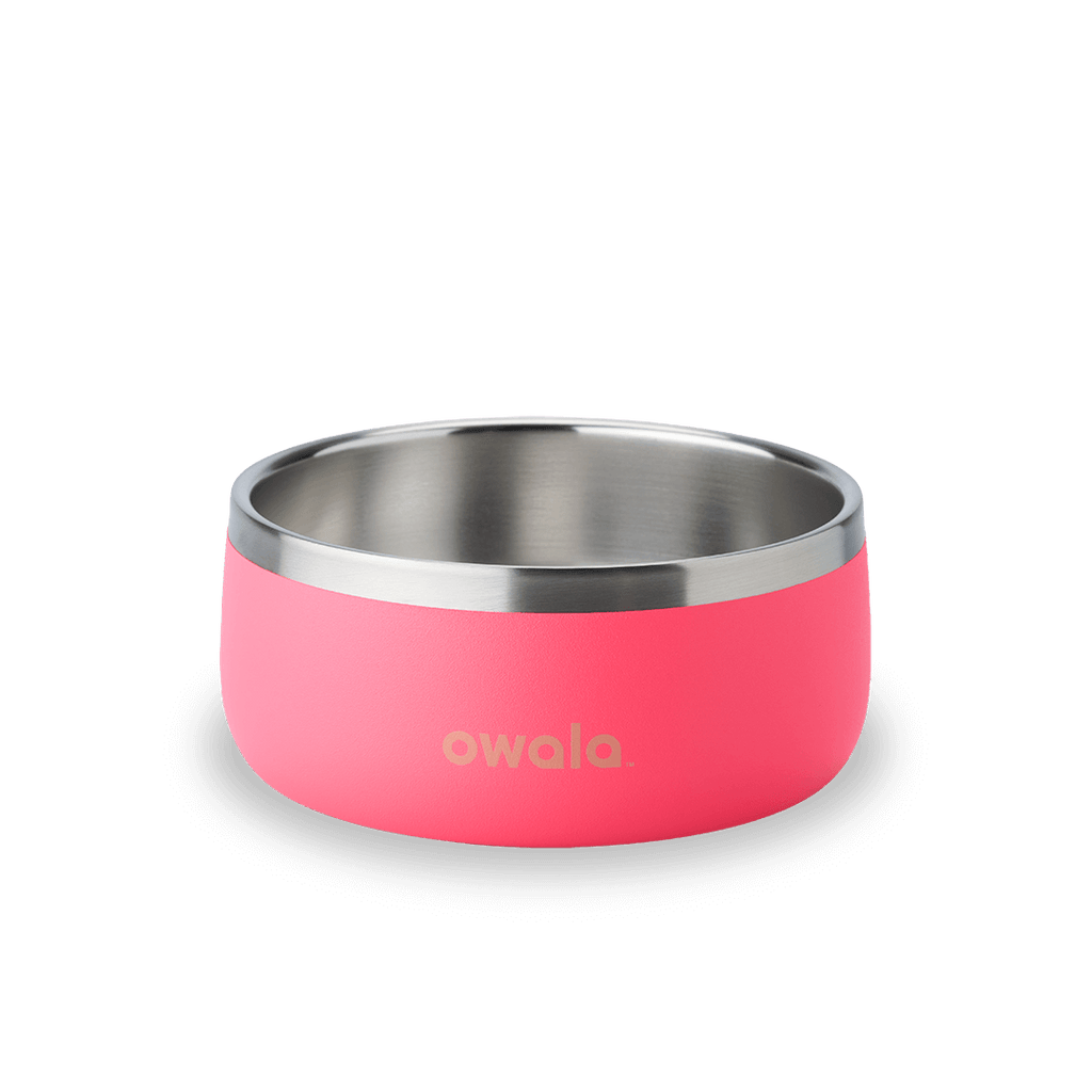 Pet Bowl