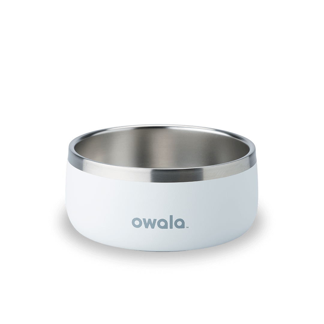 Pet Bowl